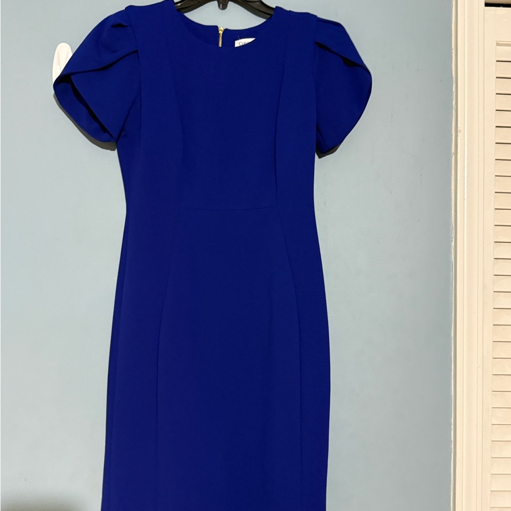 Calvin Klein Royal Blue Midi Dress - Picture 14 of 16